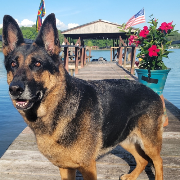 Hey!♡ Im Cat !! - Picture 15 of 16